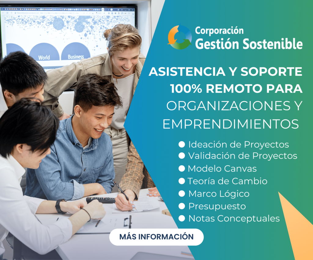 asistencia técnica y soporte remoto