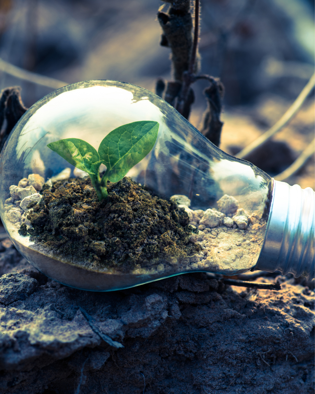 Impulsores del Cambio